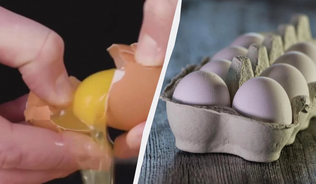 Обновленный способ разбить яйца без мусора