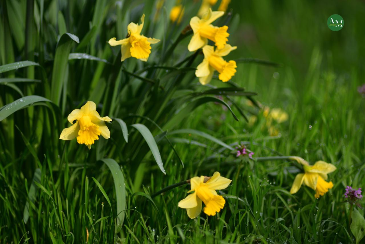 Къэгъагъэхэр. Адыгэ макъ в МАХ Къэгъагъэхэр. Адыгэ макъ в МАХ