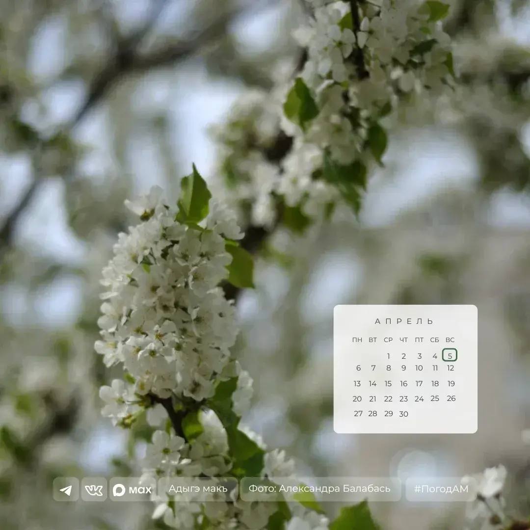 Доброе утро!. 5 апреля в Адыгее ожидается дождь
