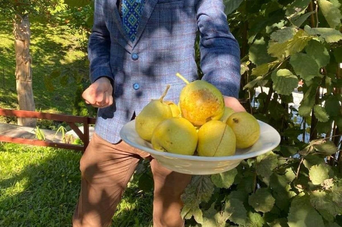 Груши в ежедневном рационе: простое решение для крепкого здоровья