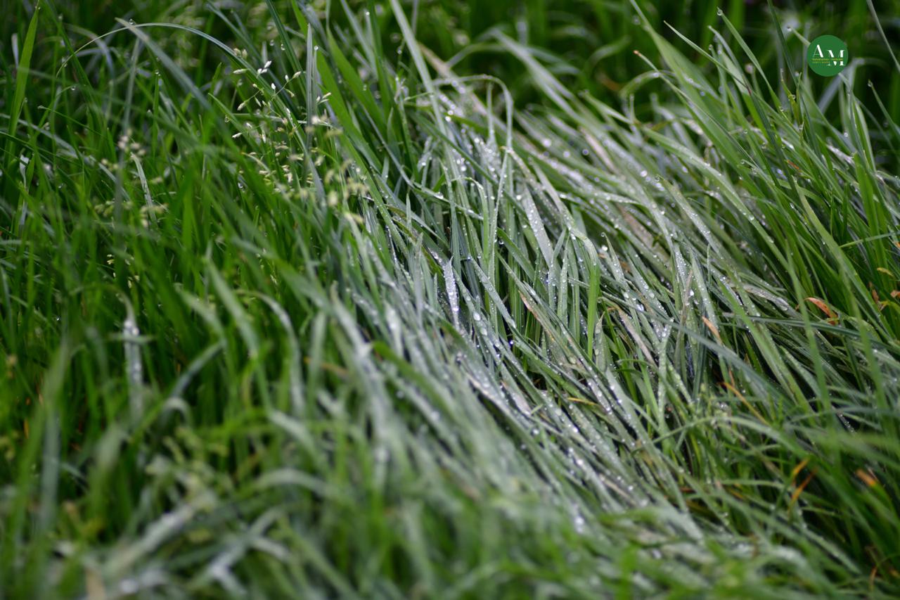 Къэгъагъэхэр. Адыгэ макъ в МАХ Къэгъагъэхэр. Адыгэ макъ в МАХ