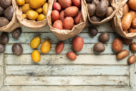 ������ ���������: ������� ������ � ���������� �����