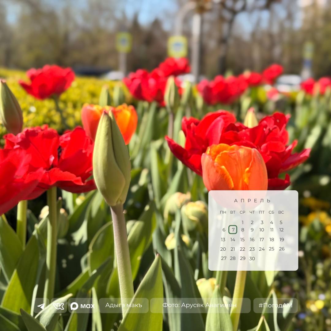 Доброе утро!. 7 апреля в Адыгее переменная облачность, местами ожидается дождь