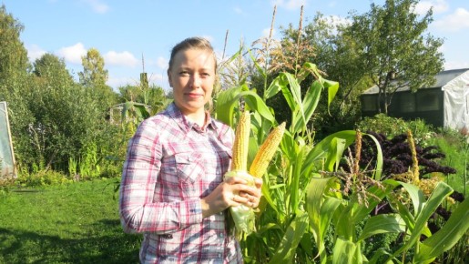 �����, ������� ����� ����� ��������� ��� �������: ������ � �������