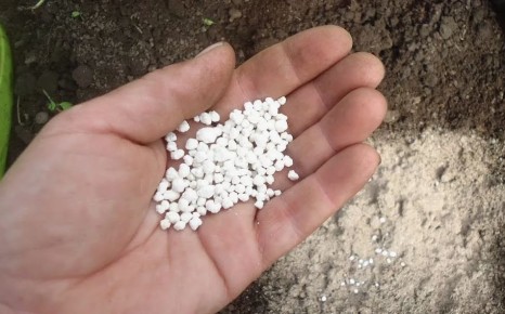 ��� ������� ��������� ����� ����������� ��� ������