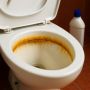 Чистый унитаз за считанные минуты: способ, который работает лучше всех