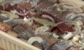 Секреты северной малосольной селедки: как удивить гостей и близких