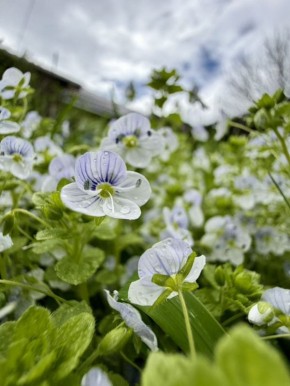 11 ������ � ������ �������, �������� �����