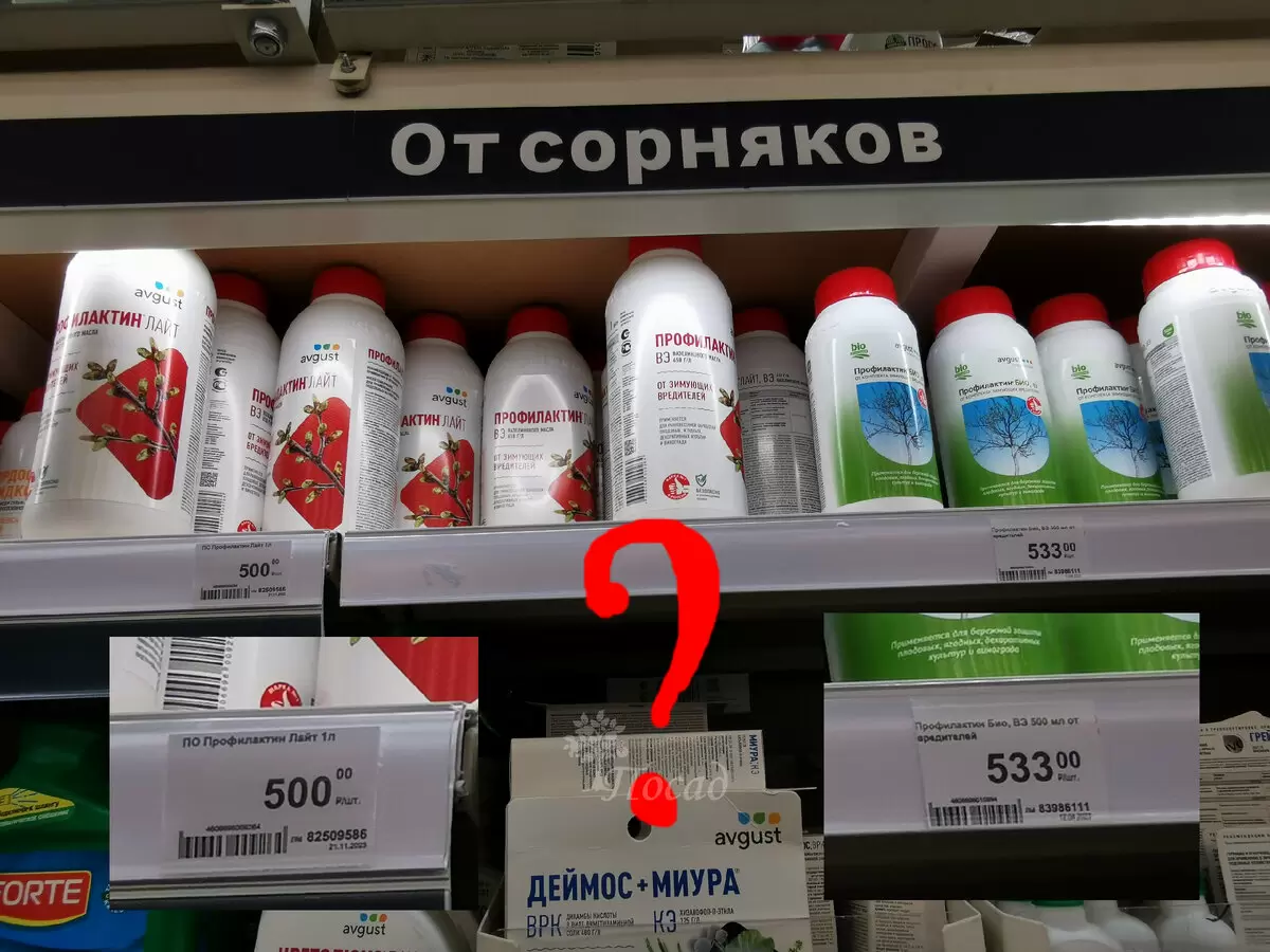 Секреты ранневесенней обработки сада: препараты, которые стоит попробовать