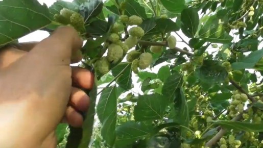 ��� ������������� ������ ������� ����� ��������� �� ������ ����