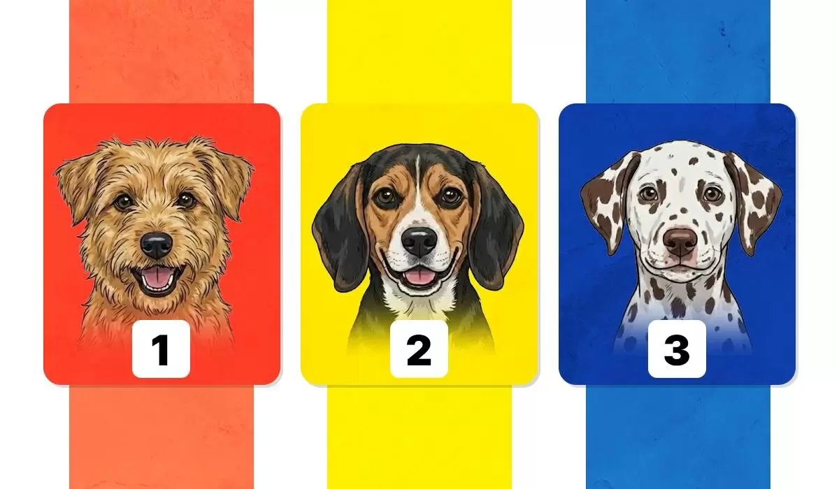 Как понять свои эмоции: психология и самопознание в 2025 году