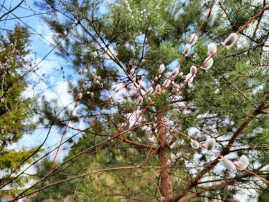 Вкусные выходные: рецепты и кулинарные моменты апреля