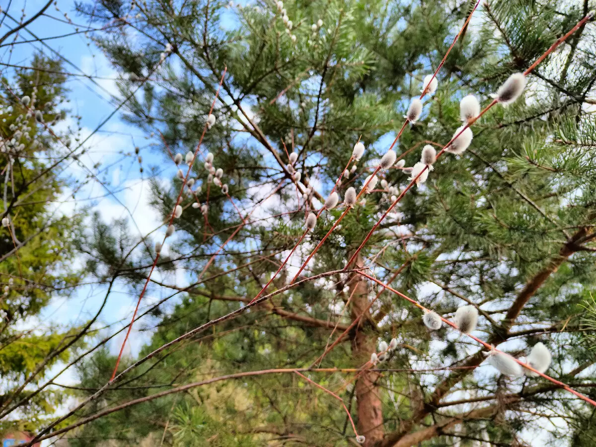 Вкусные выходные: рецепты и кулинарные моменты апреля