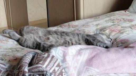 ���-������-������: ������������ ����� ���������