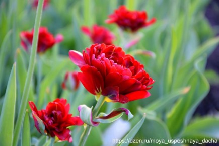 �������� ��������� ���� �������� � ��� ������ ������?