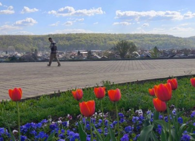 13 ������ �������� �����. ����������� ������� � ��������� ����� +5� +10 �C. ����� 2-3 �/�