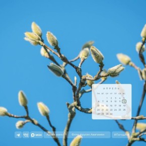 Доброе утро!. 12 апреля в Адыгее ожидается дождь