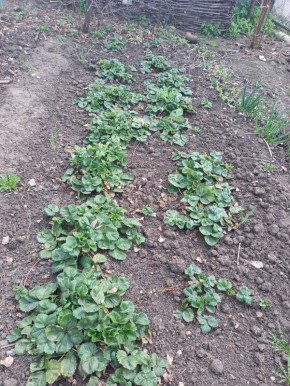 ��� ������� �������� �������: ������� ��������� � ��������� �����