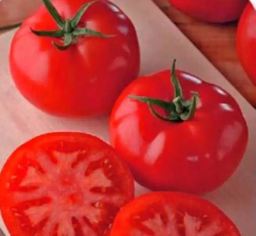 Гибрид томатов "Генерал": идеальный выбор для урожая с минимальными усилиями
