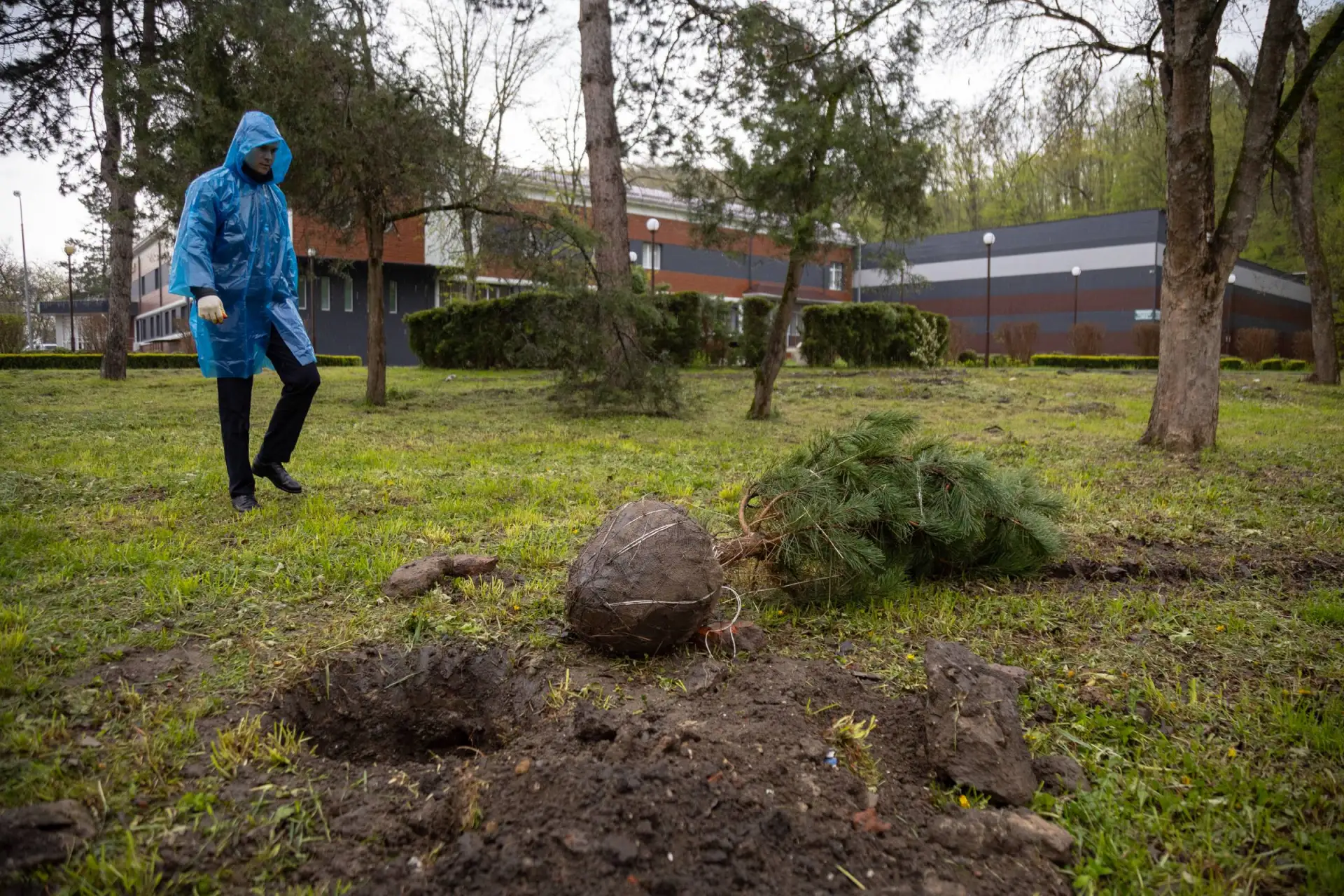 В Майкопе стартовала масштабная кампания по озеленению при поддержке «Единой России» В Майкопе стартовала масштабная кампания по озеленению при поддержке «Единой России»