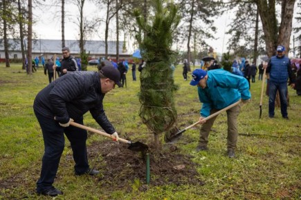 ����� ��������: ��� ������������ ������� ������ ��������� � ������� ���������� �������� �� ���������� ����������