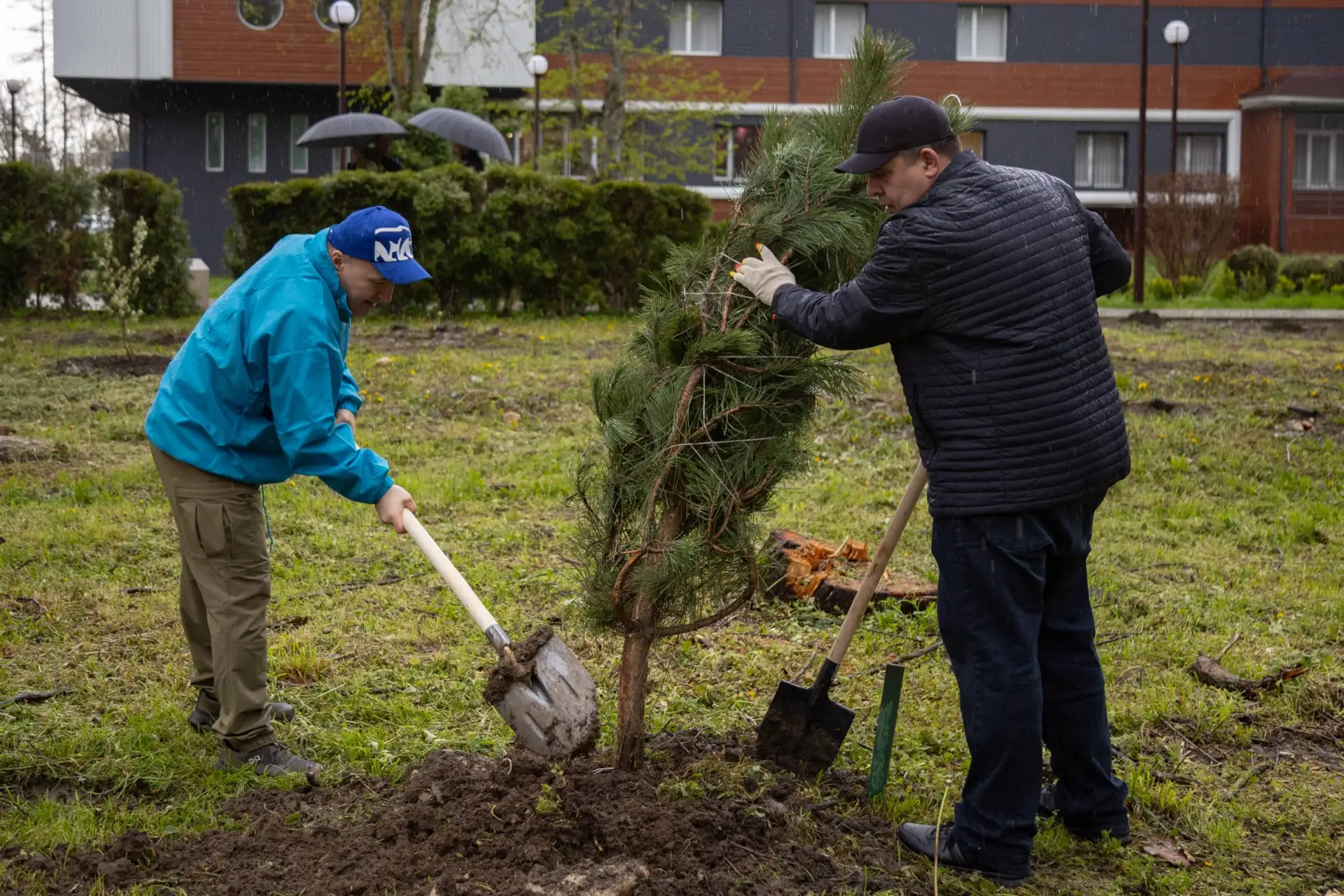 В Майкопе стартовала масштабная кампания по озеленению при поддержке «Единой России» В Майкопе стартовала масштабная кампания по озеленению при поддержке «Единой России»