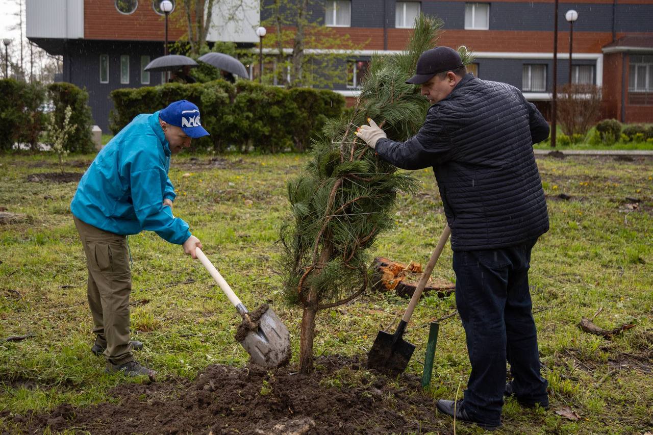 В Адыгее в этом году высадят более 10 тыс В Адыгее в этом году высадят более 10 тыс