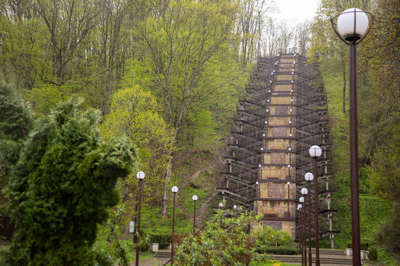 В Адыгее в этом году высадят более 10 тыс В Адыгее в этом году высадят более 10 тыс