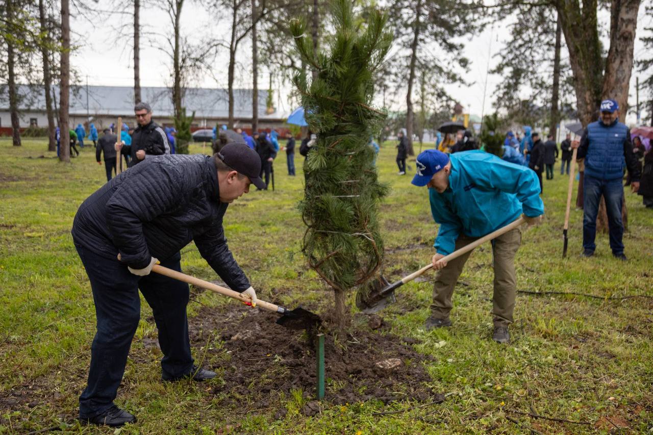 В Адыгее в этом году высадят более 10 тыс