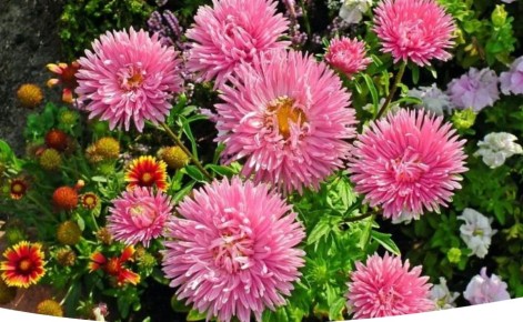 ����� ������ ����� ��� ����?