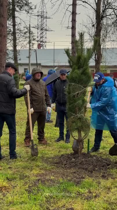 ����� ��������: ������ ������� ��� ����� ��� �������, ��� �����!