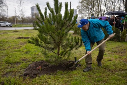 ����� �������� ������ ������� � ������� �������� �� ���������� ����� ��������