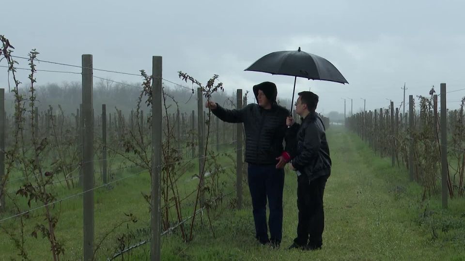 �������� ���������� �������������� ��������� ��� � 18.00 �� ����������� ��� � ������-24