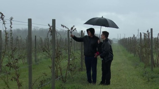 �������� ���������� �������������� ��������� ��� � 18.00 �� ����������� ��� � ������-24