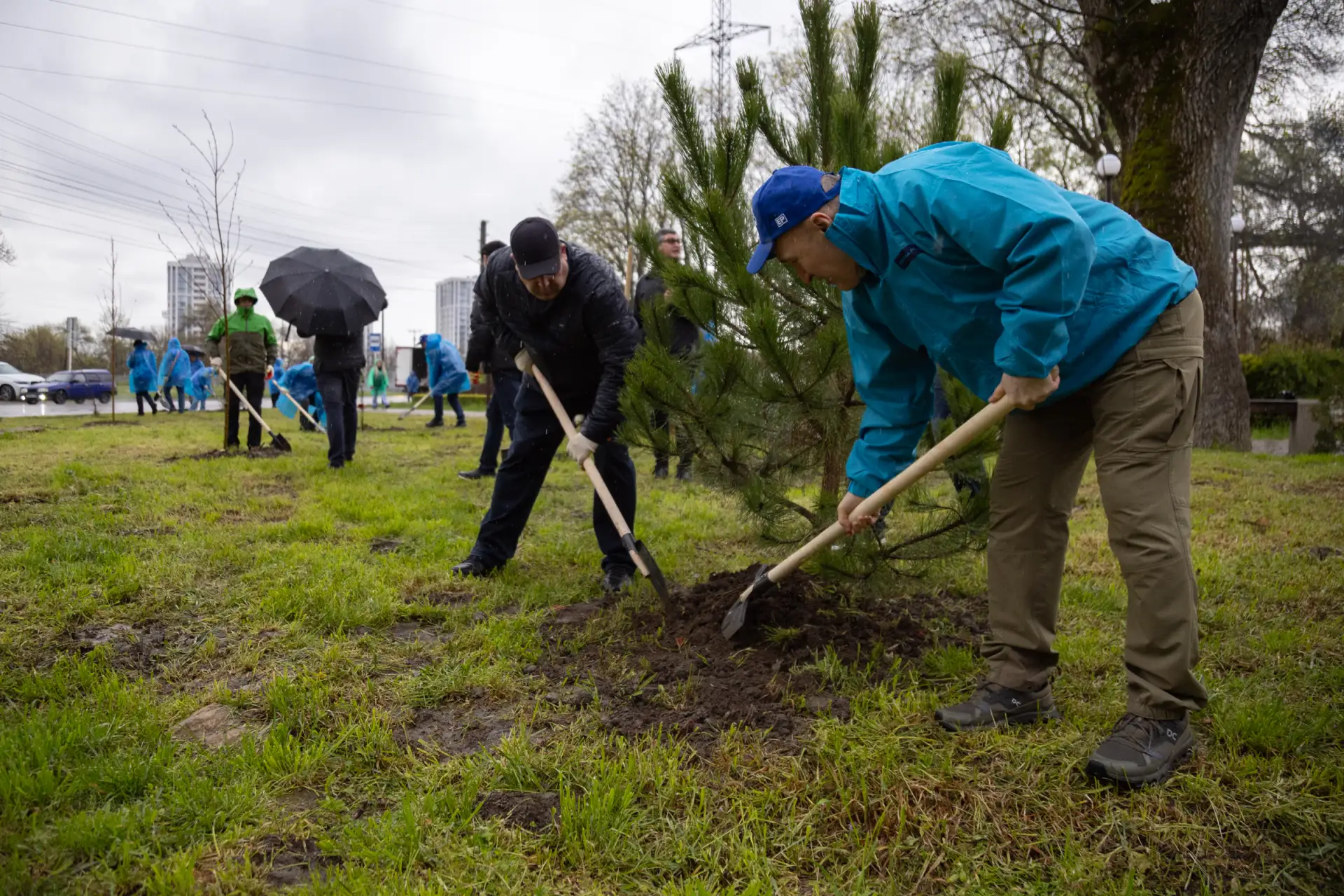 Мурат Кумпилов принял участие в высадке деревьев на территории парка «Мэздах» Мурат Кумпилов принял участие в высадке деревьев на территории парка «Мэздах»