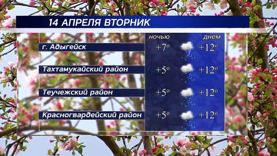 ������ ����!. ������ � ���������� �������, 14 ������