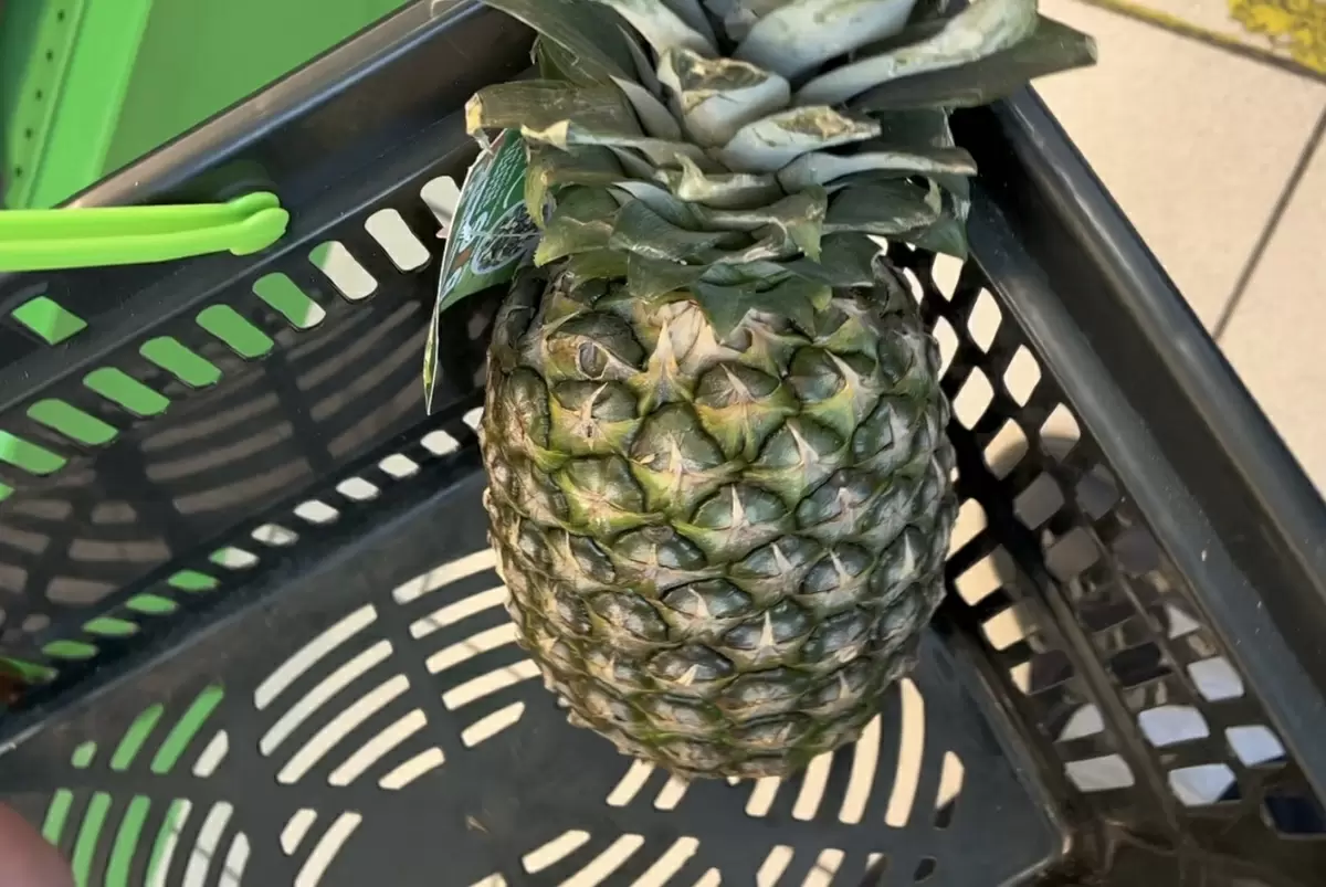 Как сэкономить на новогодних угощениях: секреты от опытного покупателя