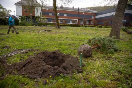 � ������� ���������� ���������� �������� �� ���������� ��� ��������� ������� ������