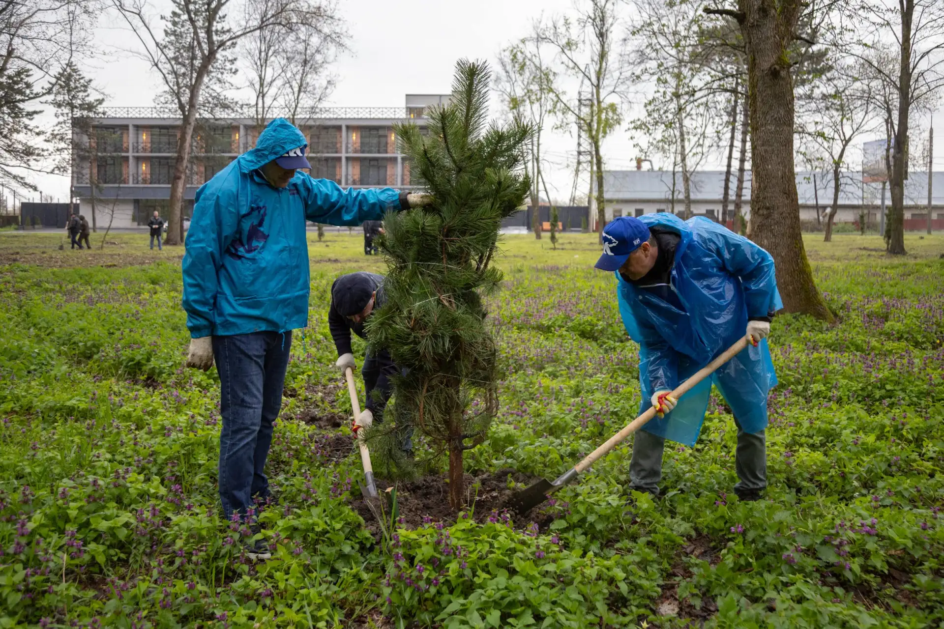 В Майкопе стартовала масштабная кампания по озеленению при поддержке «Единой России» В Майкопе стартовала масштабная кампания по озеленению при поддержке «Единой России»