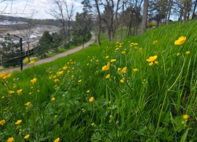 15 апреля в Адыгее облачно