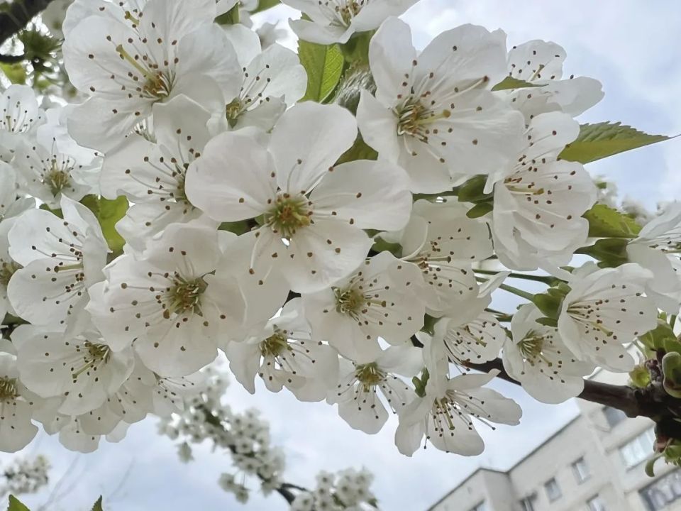 16 ������ � ������ ��������
