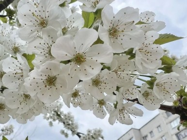 16 ������ � ������ ��������