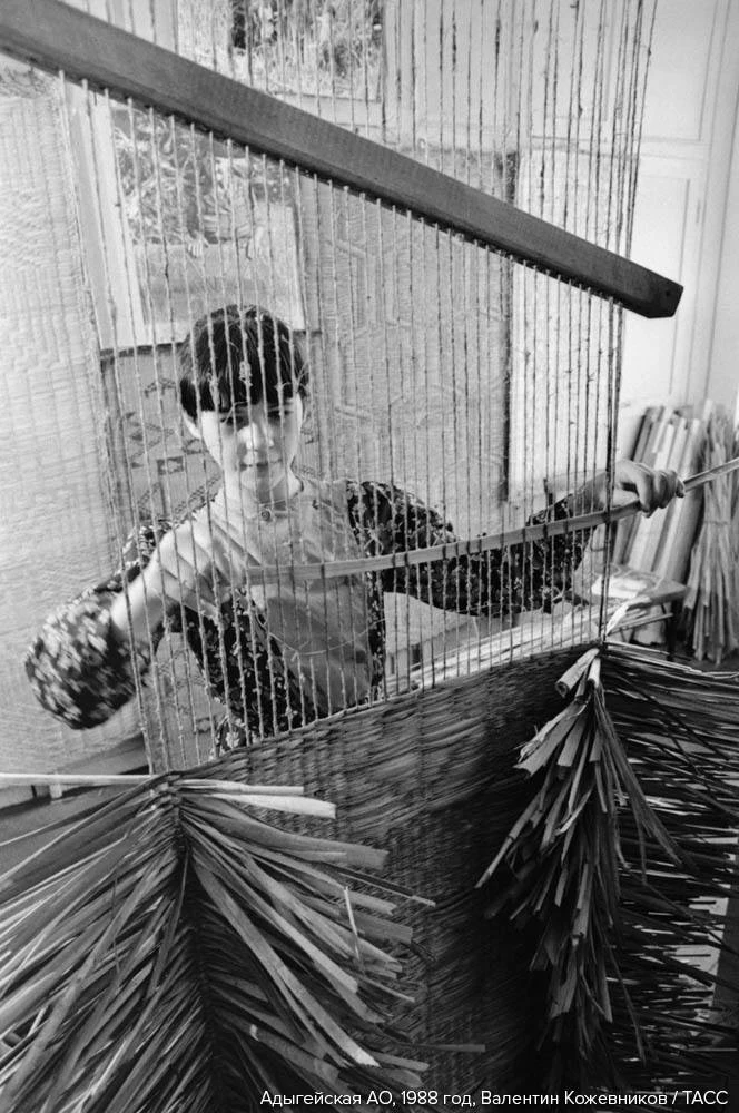 Адыгейцы (адыги) — коренной кавказский народ северо-западного Кавказа Адыгейцы (адыги) — коренной кавказский народ северо-западного Кавказа