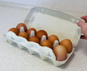 ������������ ������, ��� ���������� 14 ��� � ����������� �����