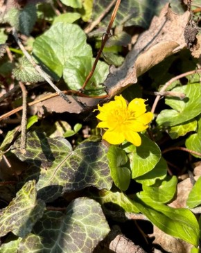 ������ � ������� �� 16 ������: