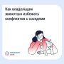 Проживание животных в многоквартирном доме связано с определёнными обязанностями
