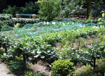 ���������: ������������� �������� ��� ����������� � ���������