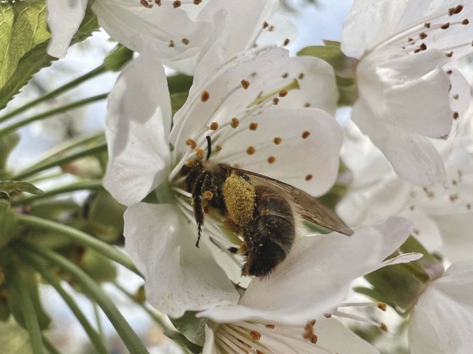 18 ������ � ������ �������