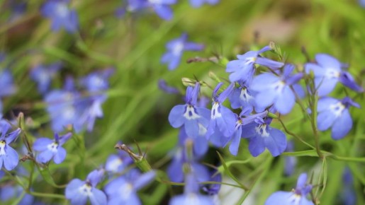 ������� ��������� ������������ ��������� �������: ��� �������� 80% ��������� �� 7 ����