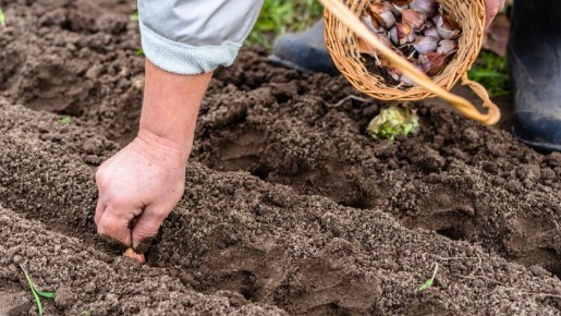 ��� ��������� ������� ������: ���� ���������� ������ ���������